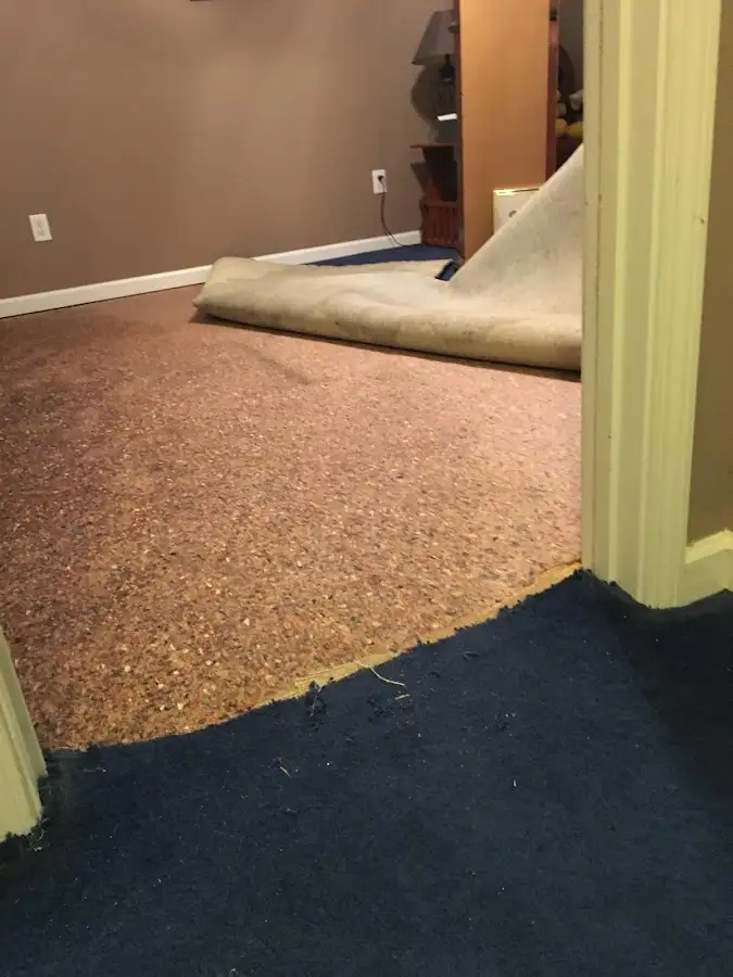 Carpet pad removal revealing water damage during Water Mitigation Services in San Pablo